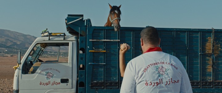 مهرجان أجيال السينمائي 2024 يحتفي بالعام الثقافي قطر - المغرب 2024 بعروض خاصة لأفلام مغربية قصيرة